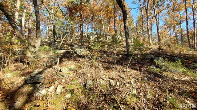 $259,900 | 0 County Road 6030, Salem, MO 65560