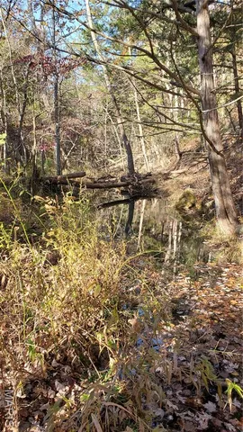 $259,900 | 0 County Road 6030, Salem, MO 65560