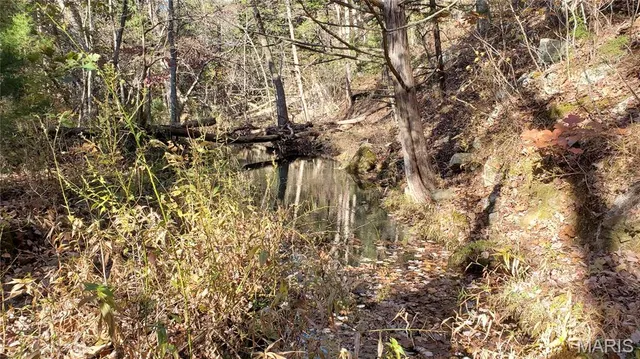 $259,900 | 0 County Road 6030, Salem, MO 65560