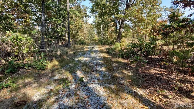 $259,900 | 0 County Road 6030, Salem, MO 65560