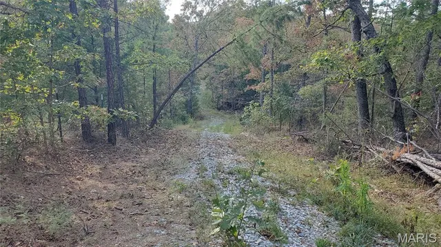 $259,900 | 0 County Road 6030, Salem, MO 65560