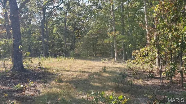 $259,900 | 0 County Road 6030, Salem, MO 65560