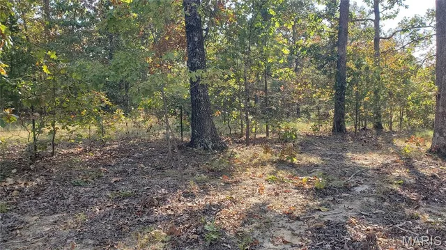 $259,900 | 0 County Road 6030, Salem, MO 65560