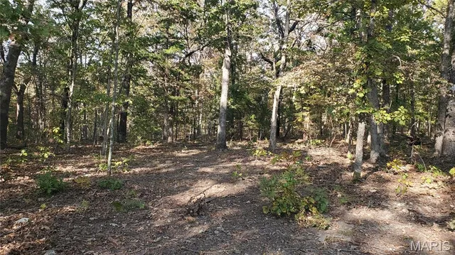 $259,900 | 0 County Road 6030, Salem, MO 65560