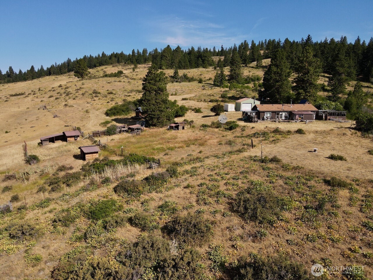 790 Fs Road Ellensburg, WA 98926 - Photo 4 of 40 Gallery Image 4