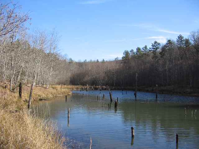505 Moody Bridge Road, Unit TABLE ROCK Cleveland, SC 29635 - Photo 1 of 8 Gallery Image 1