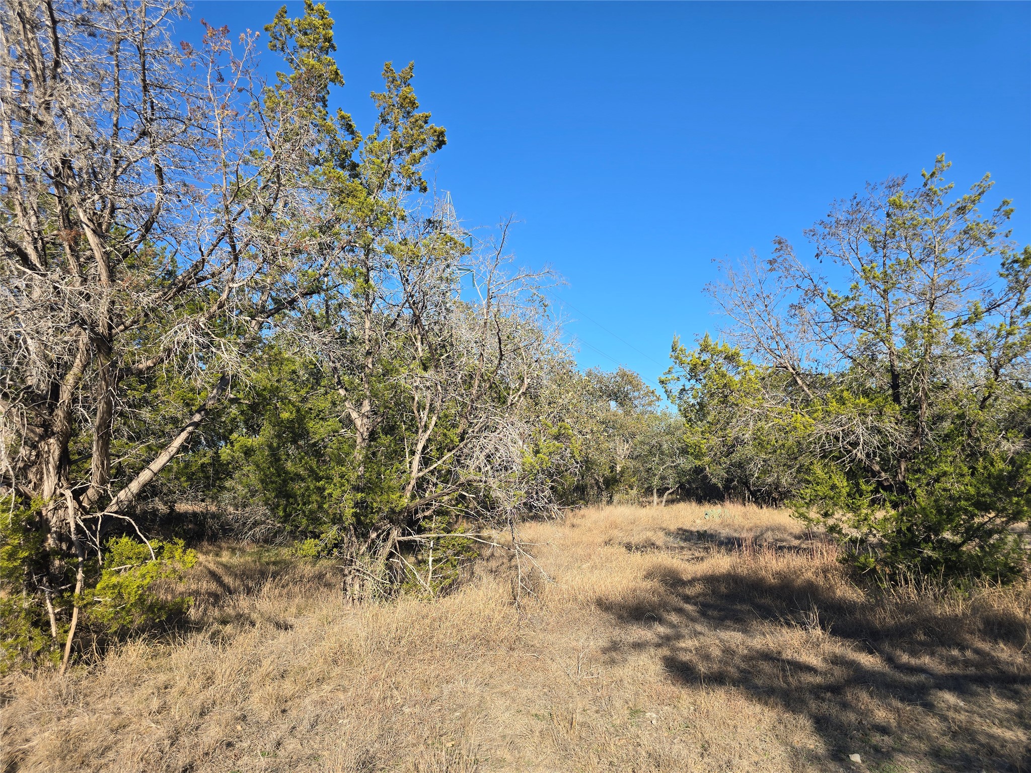 40018 Hi Ridge Road Horseshoe Bay, TX 78657 - Photo 6 of 8 Mature trees frame a sun-drenched clearing on this spacious lot under clear blue skies.