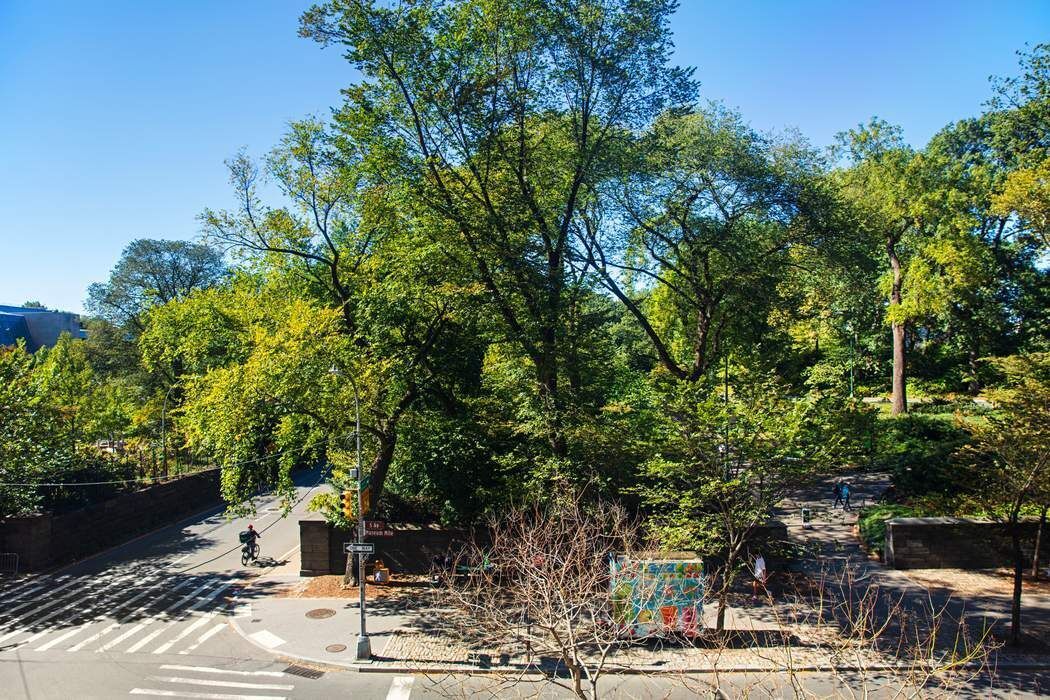 1040 5th Avenue, Unit 3A Manhattan, NY 10028 - Photo 6 of 16 a view of a city view