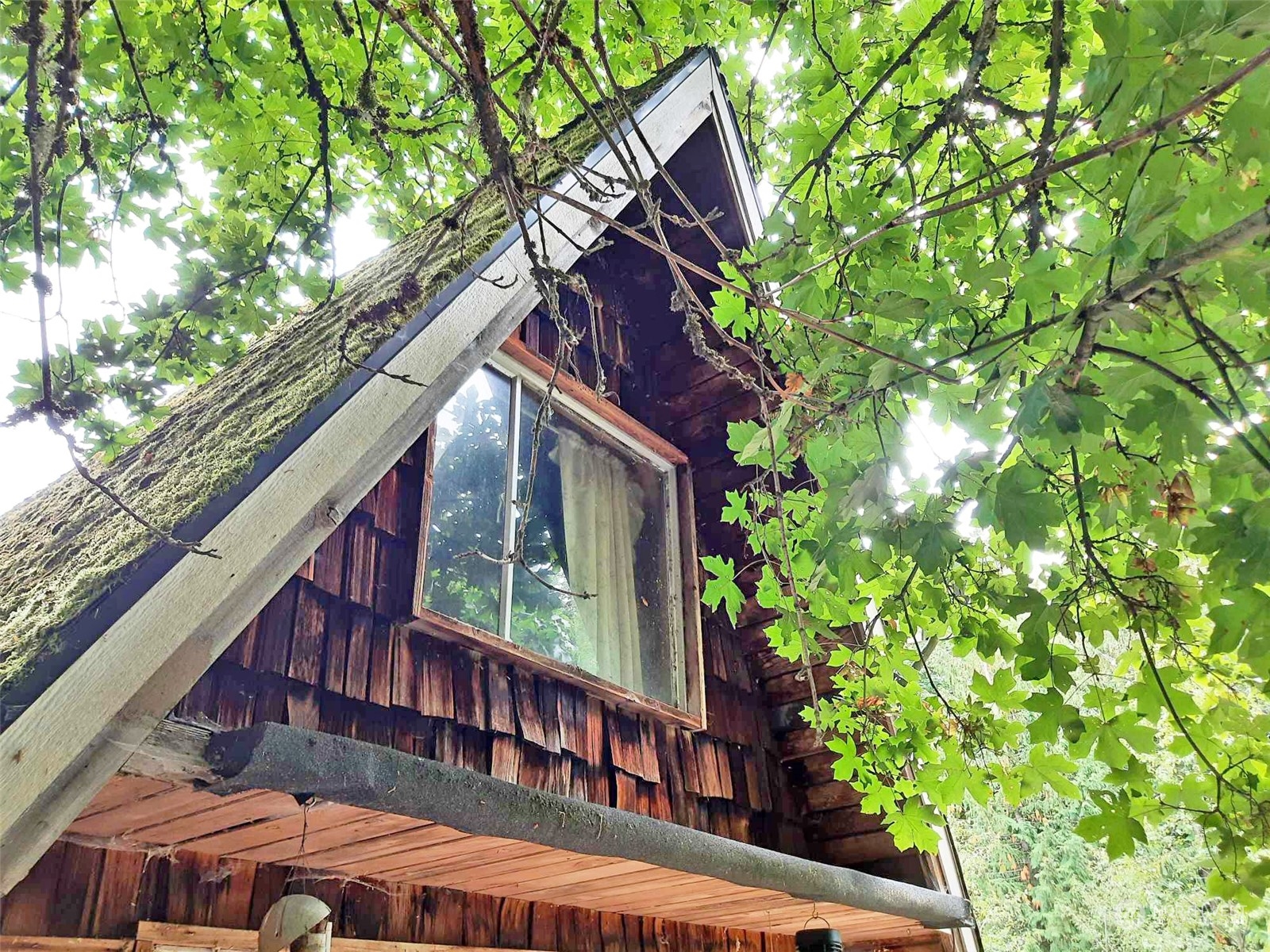10 McKee Road Quilcene, WA 98376 - Photo 3 of 34 a view of a house with a tree