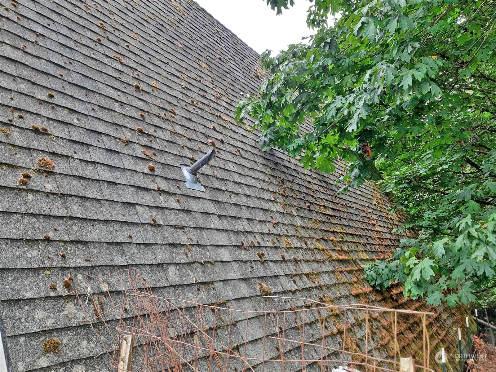 10 McKee Road Quilcene, WA 98376 - Photo 34 of 34 a backyard of a house