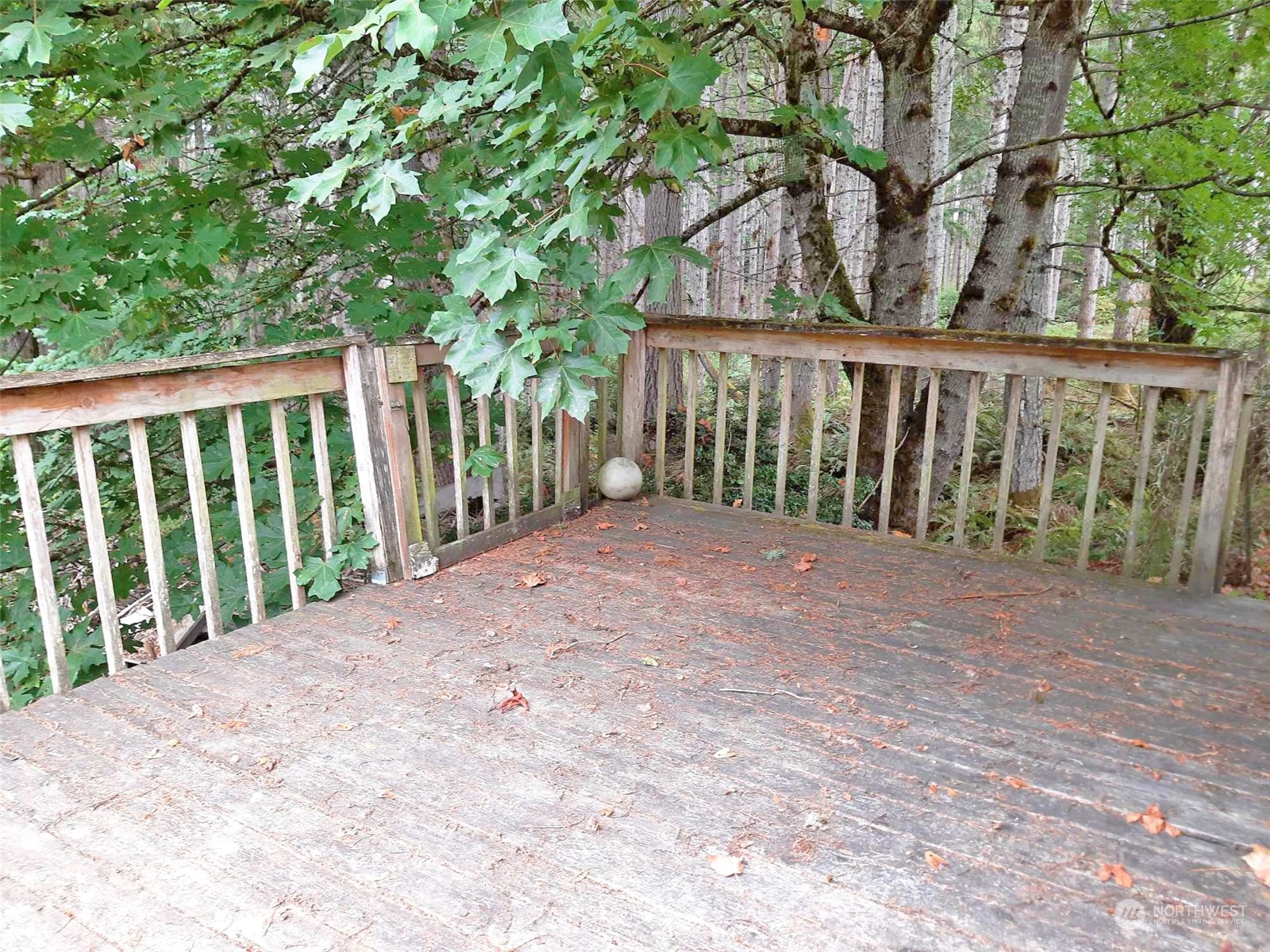 10 McKee Road Quilcene, WA 98376 - Photo 5 of 34 a view of a wooden fence