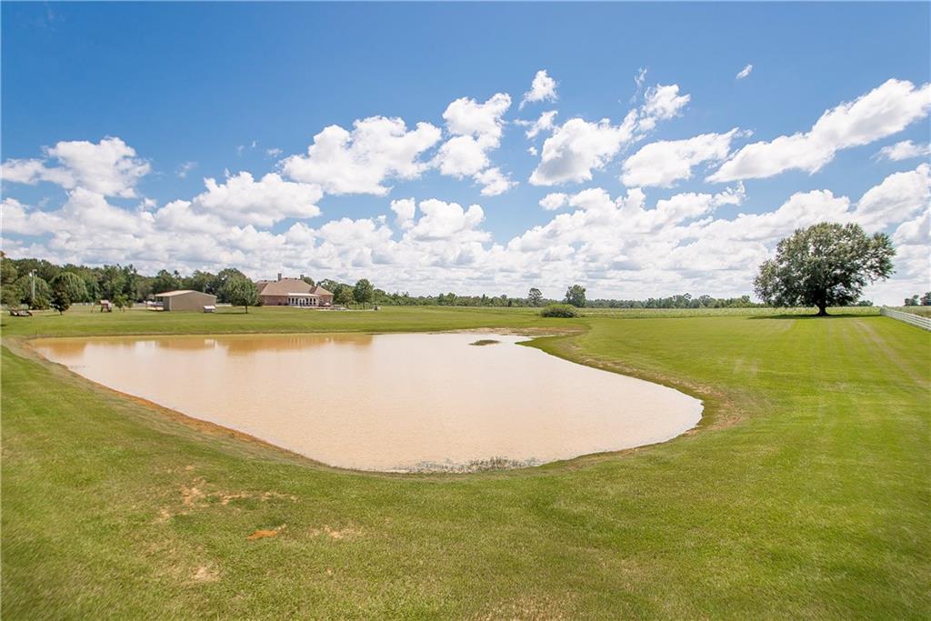 56011 North Cooper Road Loranger, LA 70446 - Photo 23 of 25