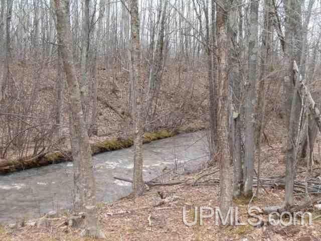 A & B-1 Bolo Road, Unit A & B1 Ontonagon, MI 49953 - Photo 3 of 6