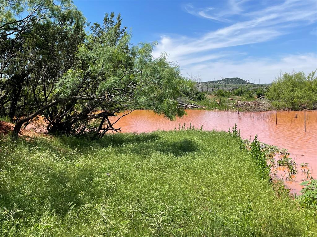a view of a lake from a yard