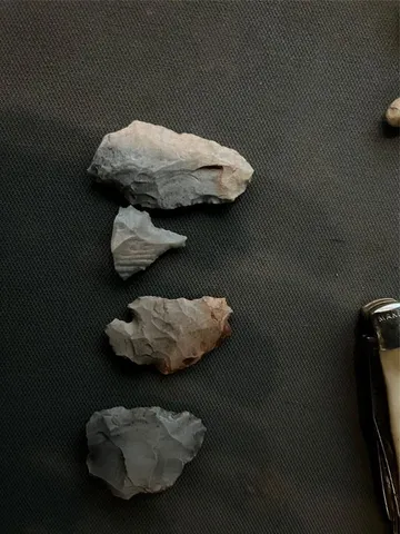 a close view of shoes