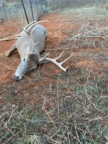 a close up of a sink