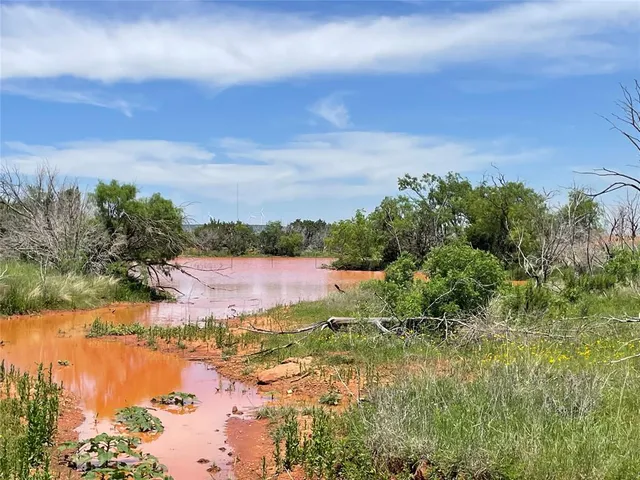 a view of a lake from a yard