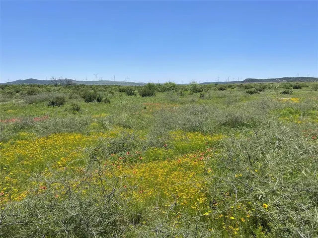 a view of a field with an ocean