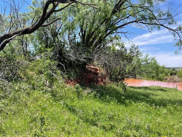 a view of a garden with a tree