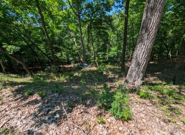 $10,000 | 23 Denby Lane, Marthasville, MO 63357