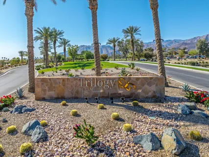 a view of a garden with a bench in roof