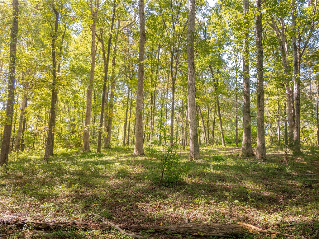 265 Gibson Road Anderson, SC 29625 - Photo 44 of 46