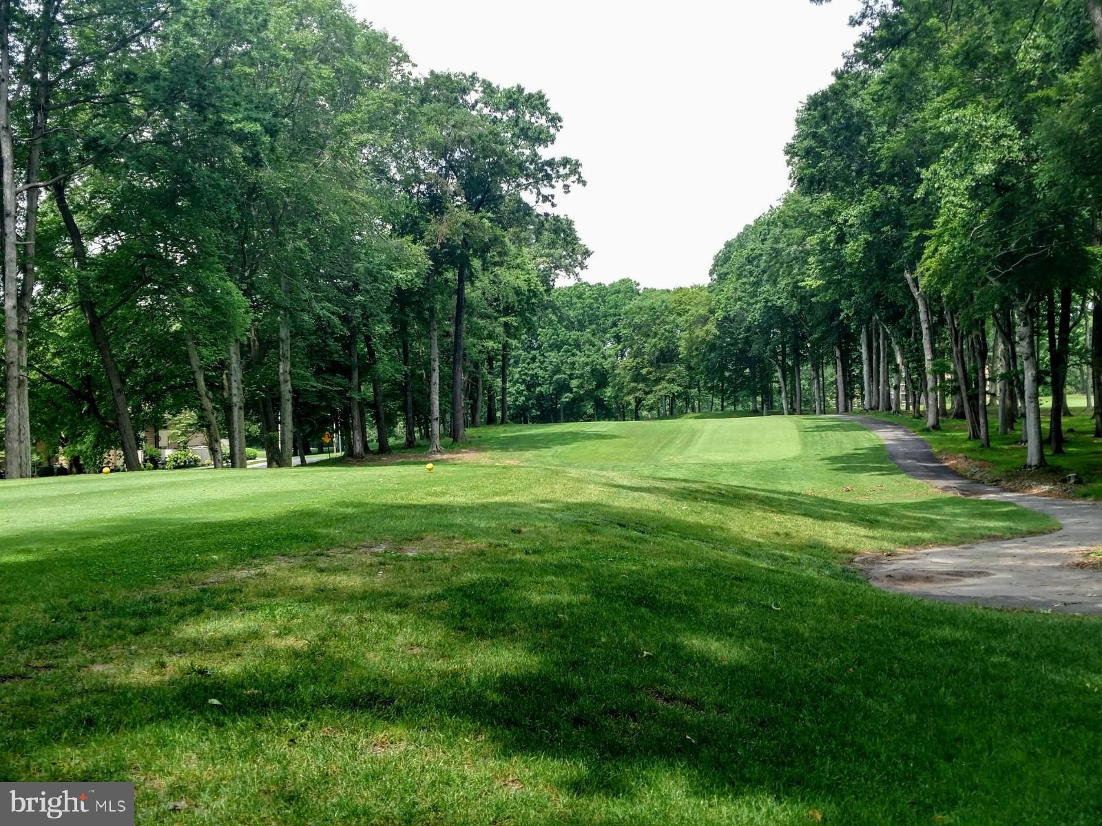 15101 Interlachen Drive, Unit 1315 Silver Spring, MD 20906 - Photo 27 of 37 Golf course view