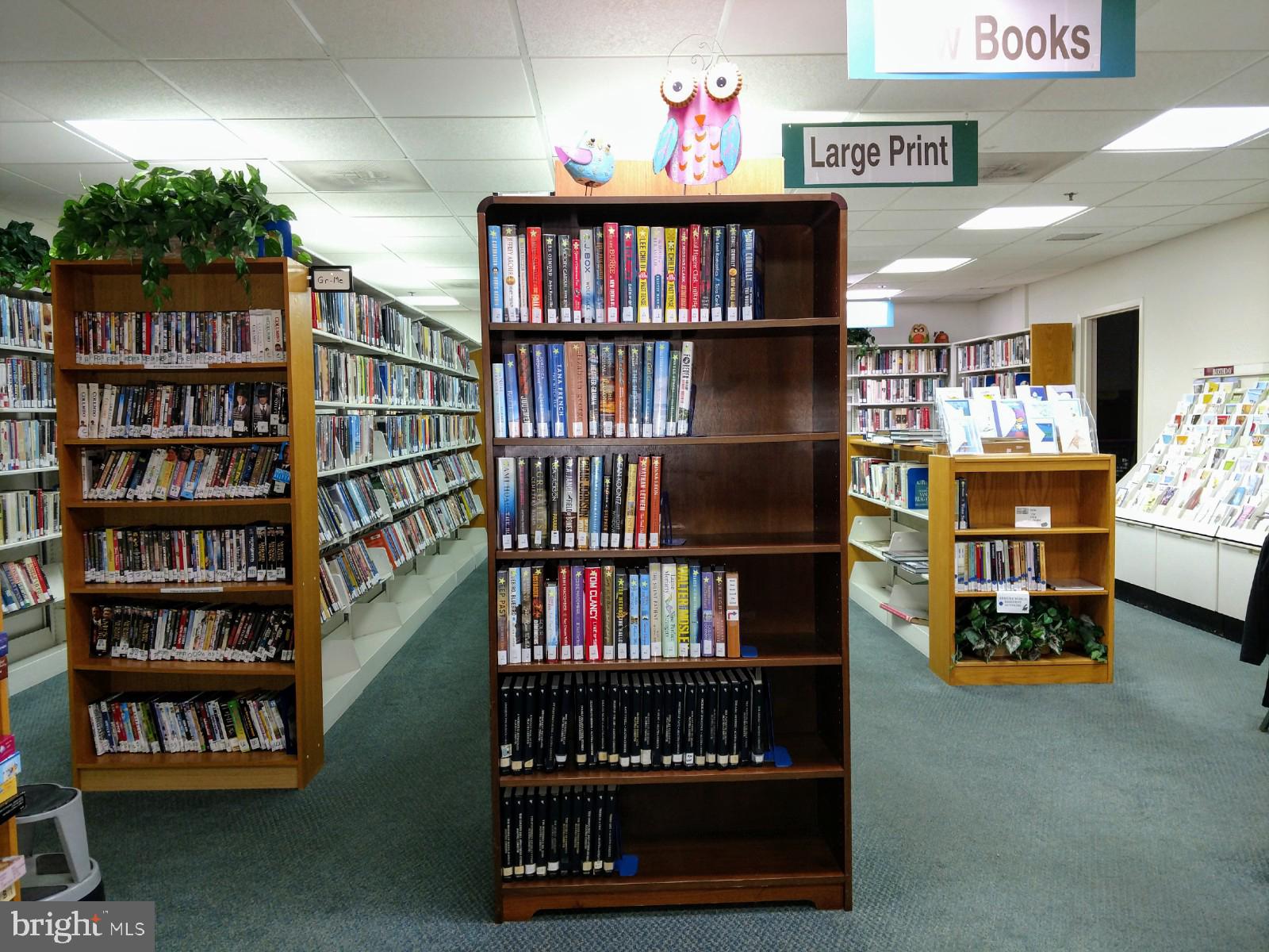 15101 Interlachen Drive, Unit 1315 Silver Spring, MD 20906 - Photo 35 of 37 Library / Card shop