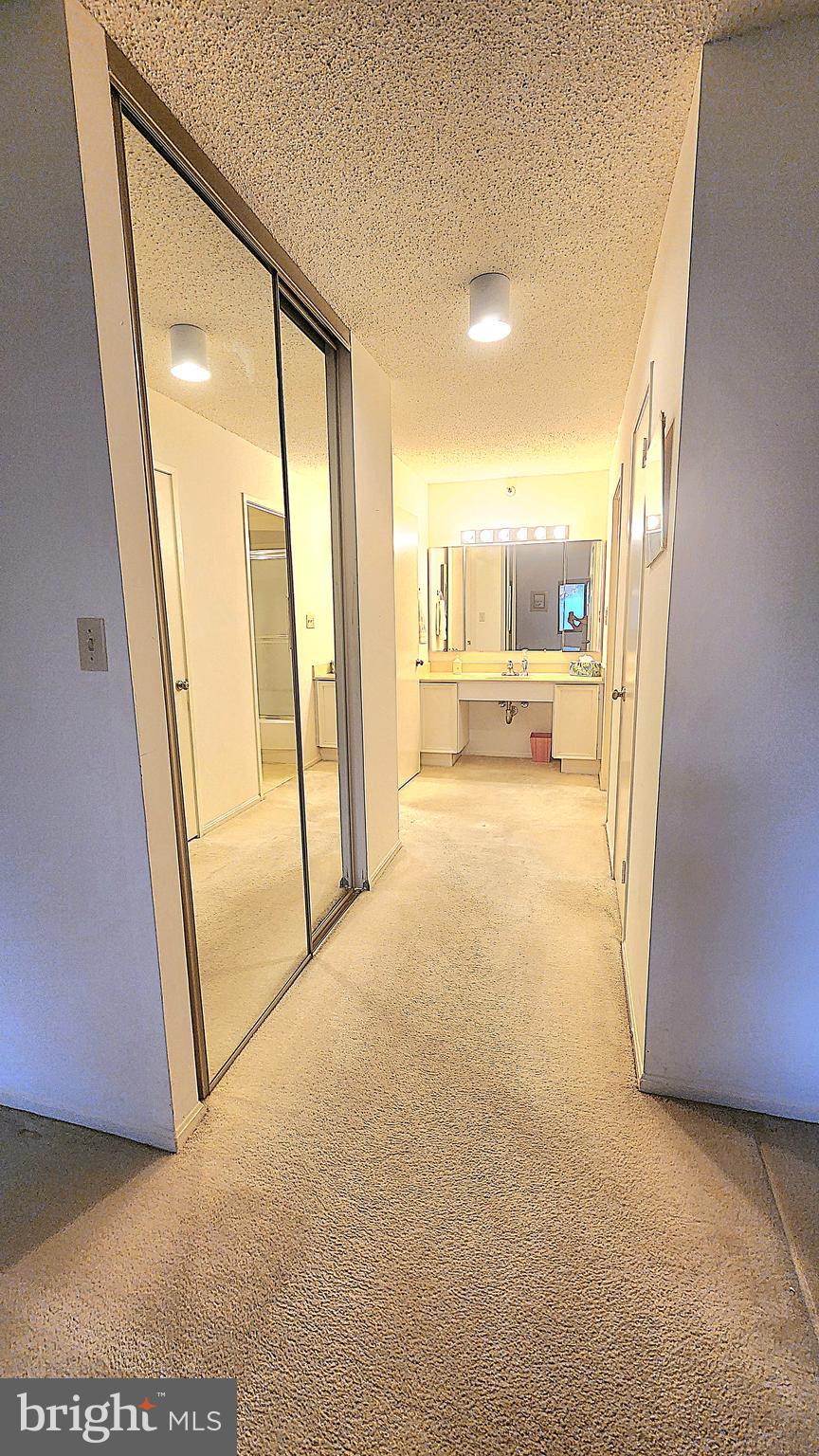 15101 Interlachen Drive, Unit 1315 Silver Spring, MD 20906 - Photo 9 of 37 Dressing room
