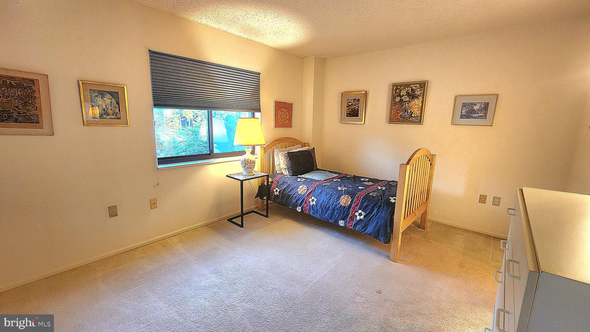 15101 Interlachen Drive, Unit 1315 Silver Spring, MD 20906 - Photo 10 of 37 2nd bedroom