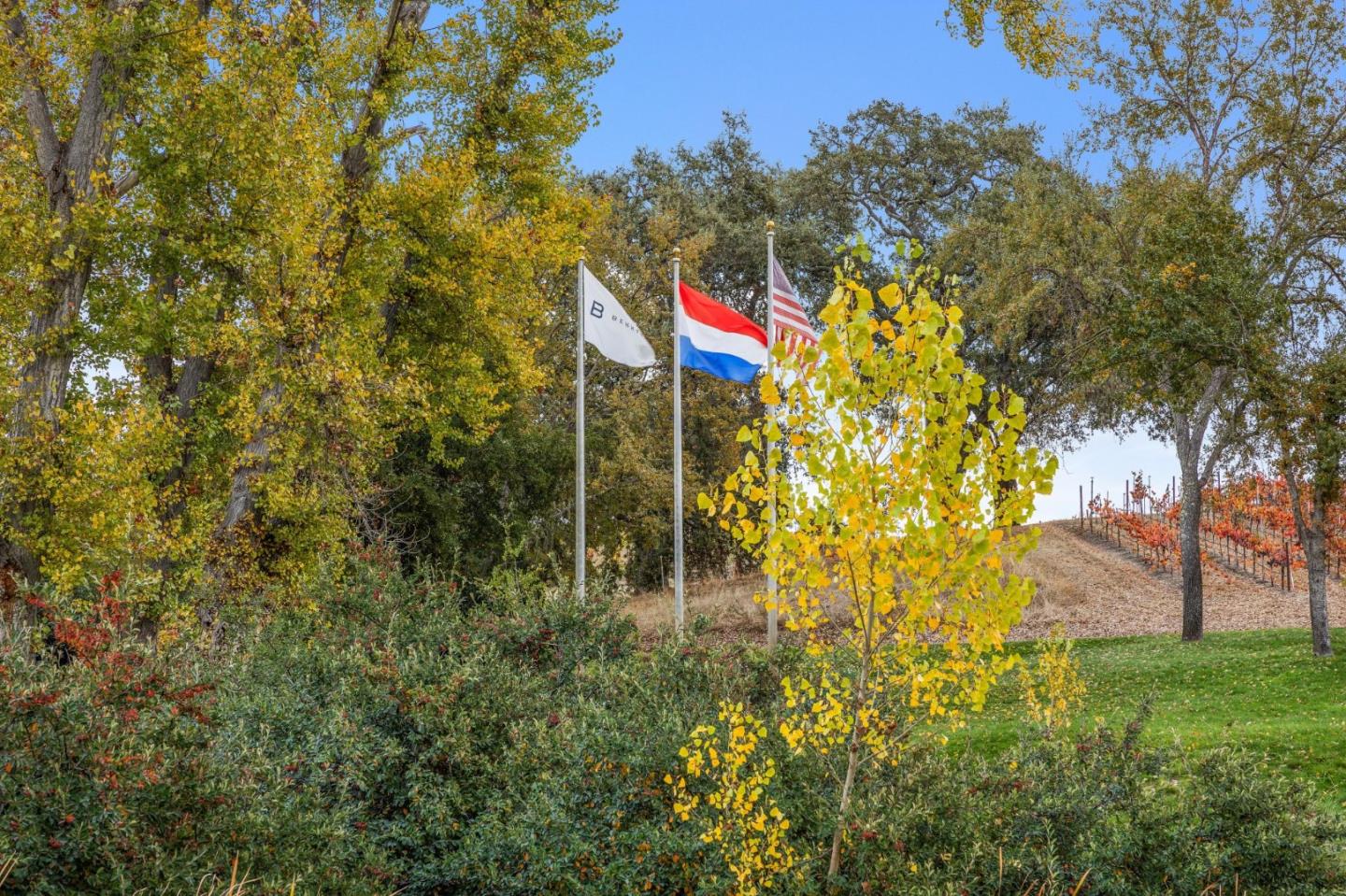 18190 Cachagua Road Carmel Valley, CA 93924 - Photo 13 of 35 a backyard of a house with lots of green space