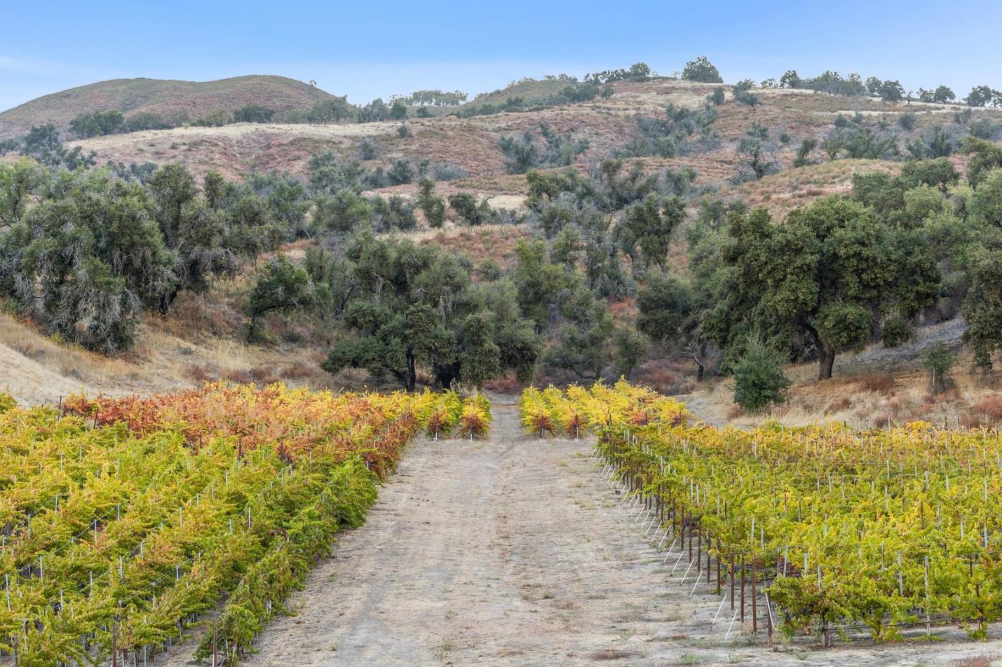 18190 Cachagua Road Carmel Valley, CA 93924 - Photo 30 of 35 a view of a pathway with a yard