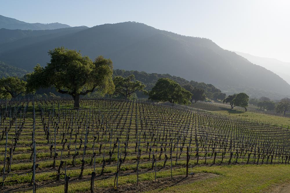 18190 Cachagua Road Carmel Valley, CA 93924 - Photo 3 of 35 a view of a lake