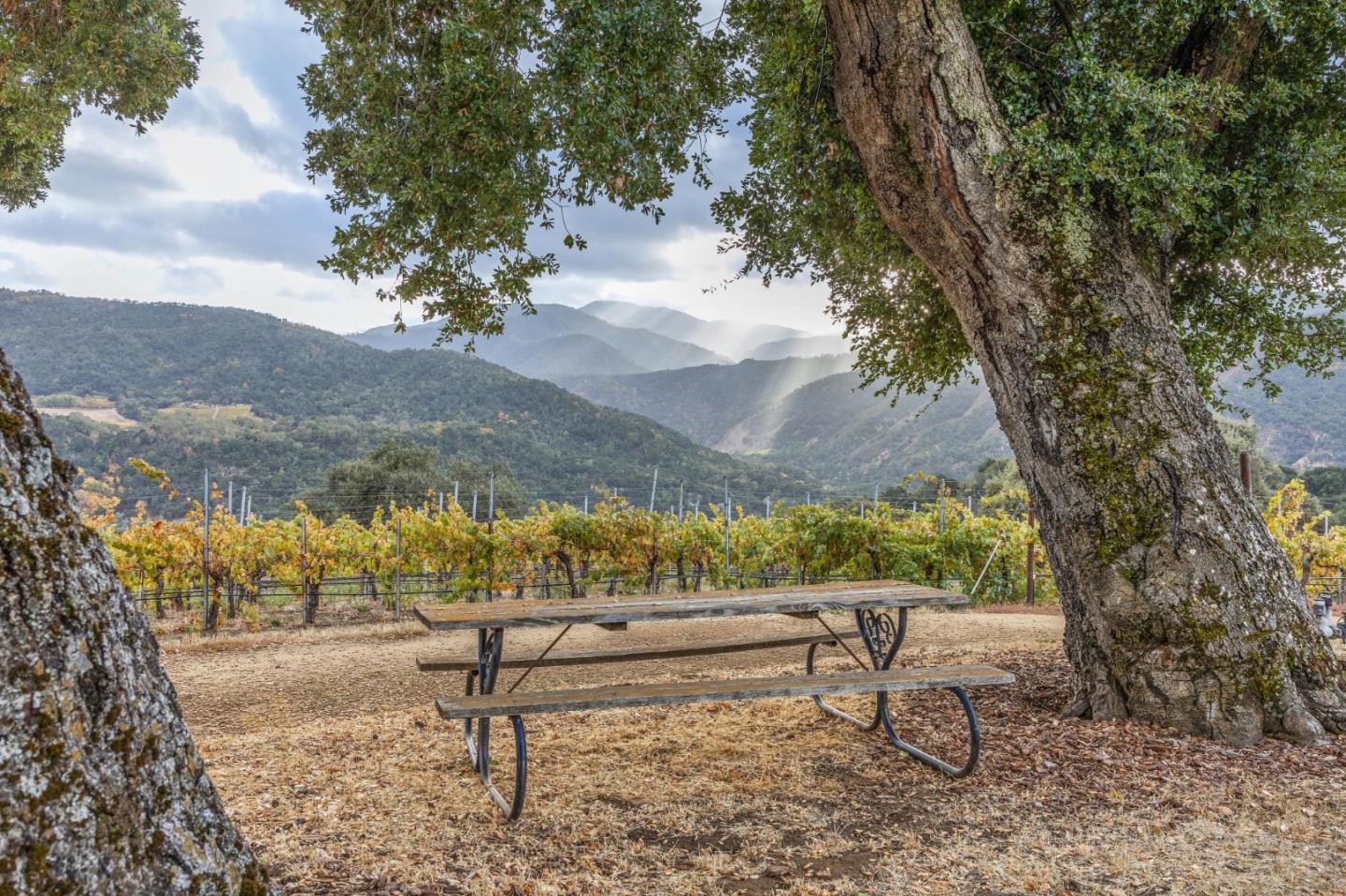 18190 Cachagua Road Carmel Valley, CA 93924 - Photo 34 of 35 a view of outdoor space with seating
