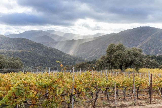 a view of a yard with wooden fence