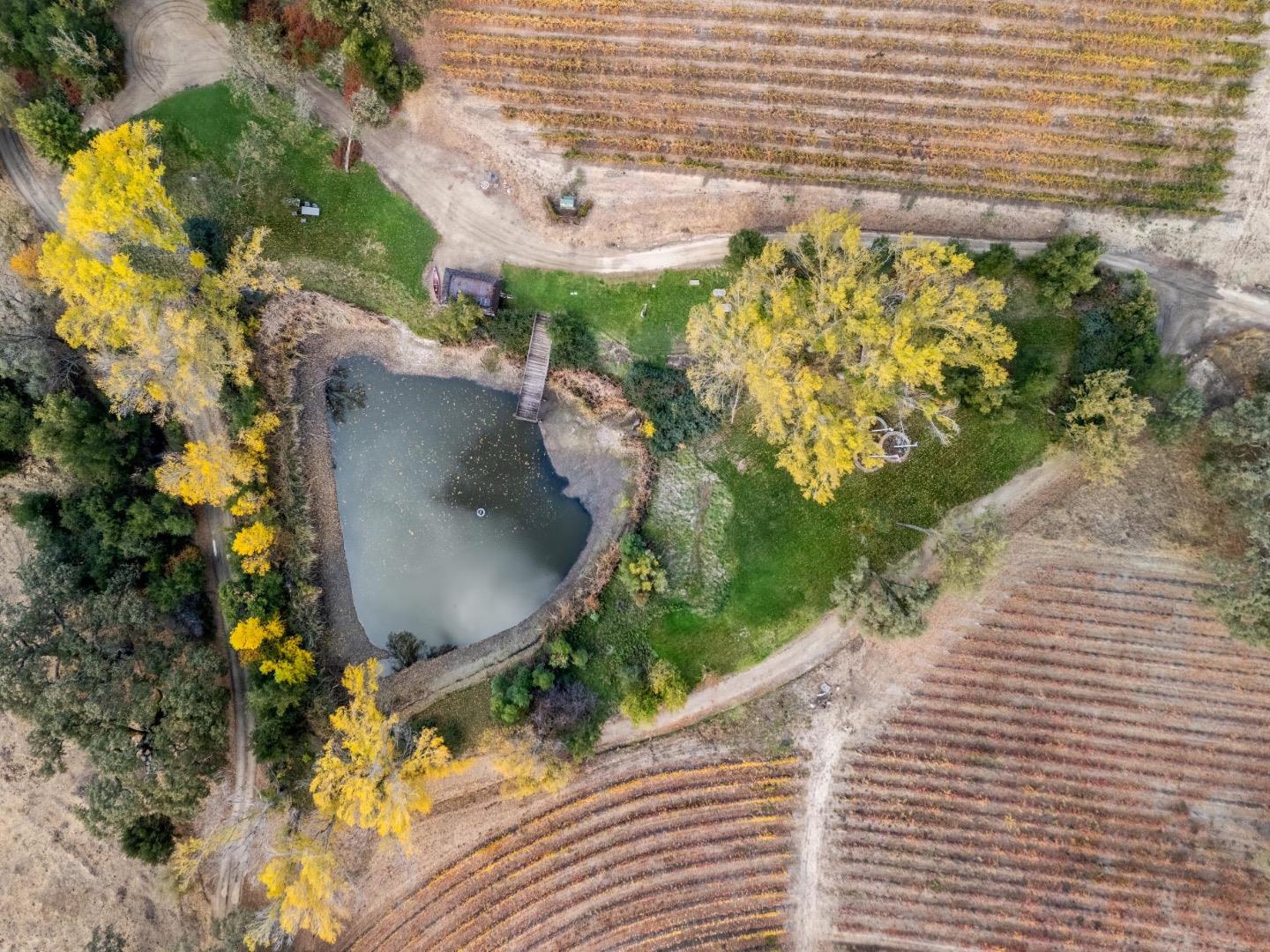 18190 Cachagua Road Carmel Valley, CA 93924 - Photo 7 of 35 a picture of a yard