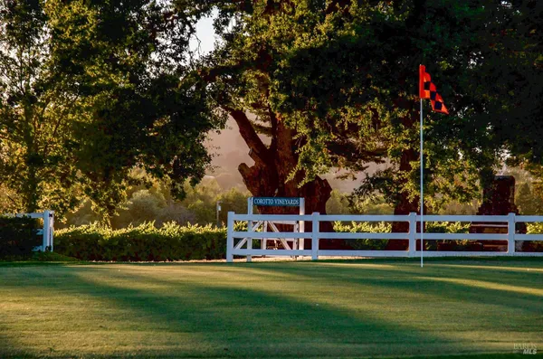 $9,800,000 | 1129 Dealy Lane, Napa, CA 94559