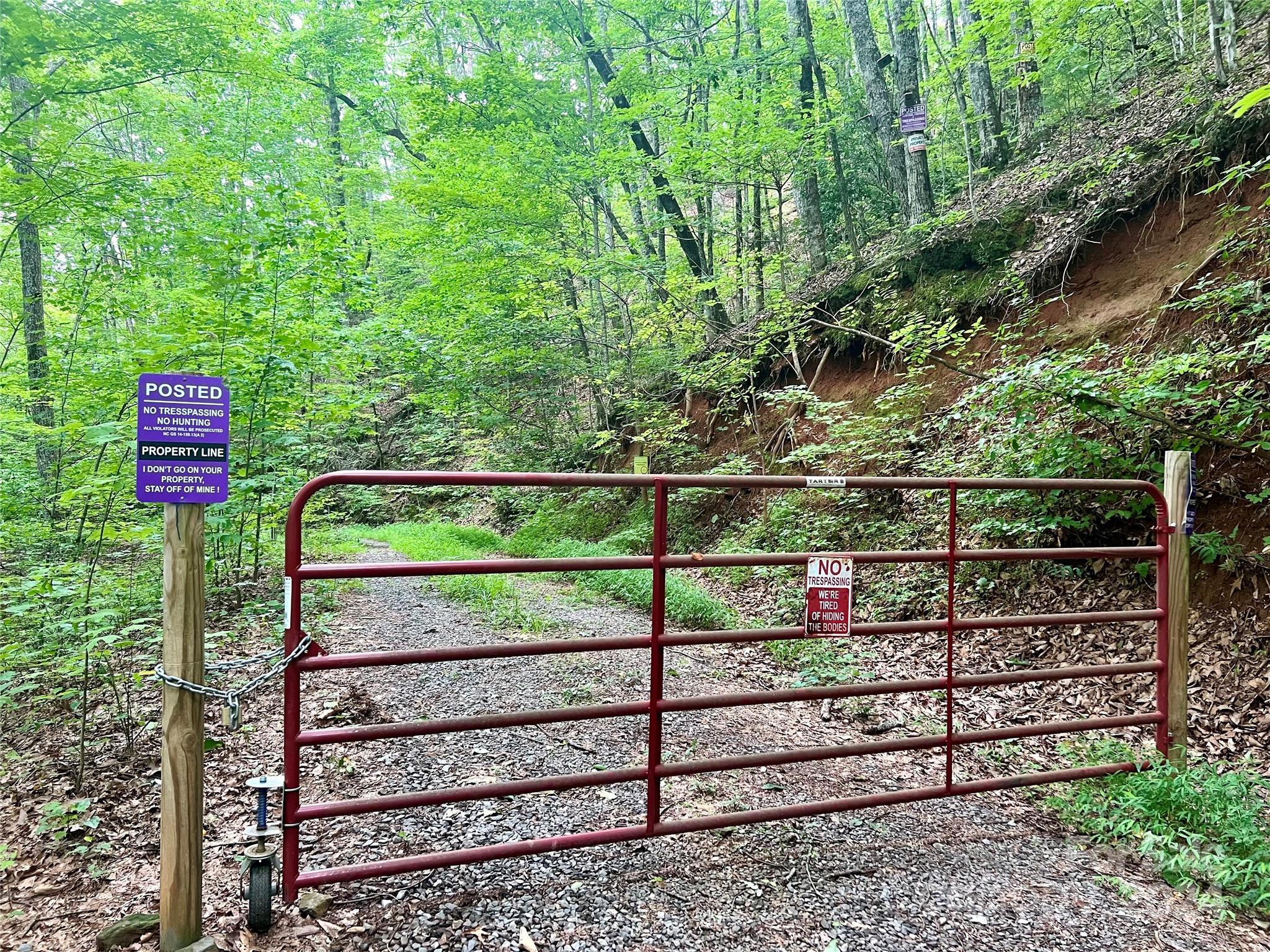 0 Morgan Creek Road Marble, NC 28905 - Photo 1 of 40