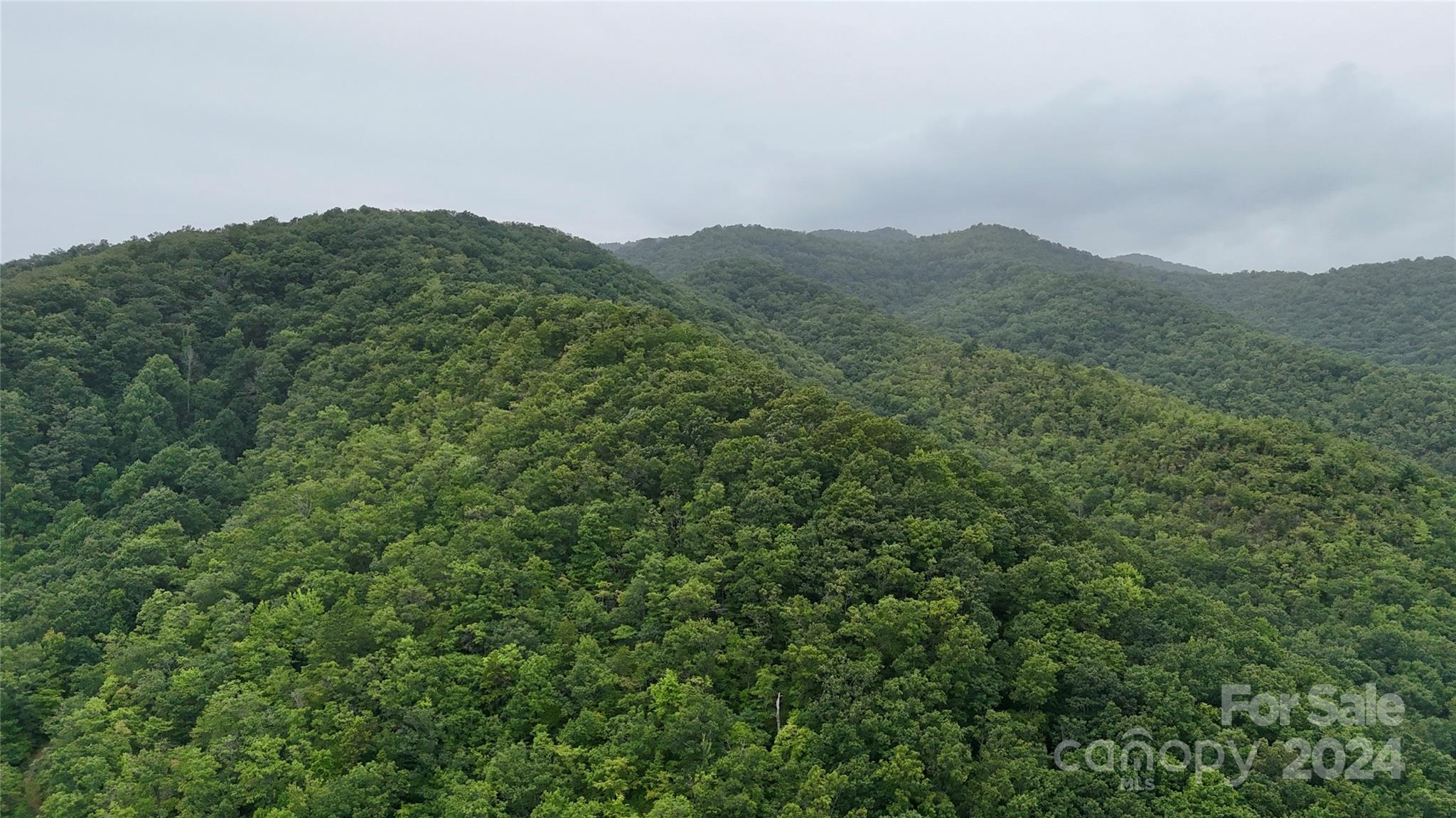 0 Morgan Creek Road Marble, NC 28905 - Photo 11 of 40