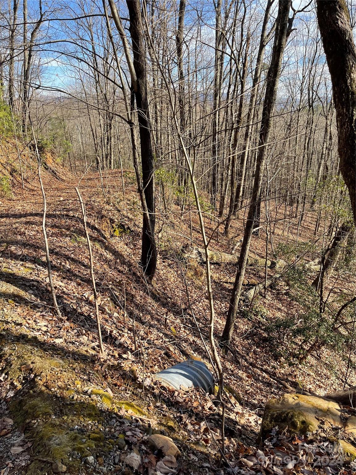 0 Morgan Creek Road Marble, NC 28905 - Photo 14 of 40