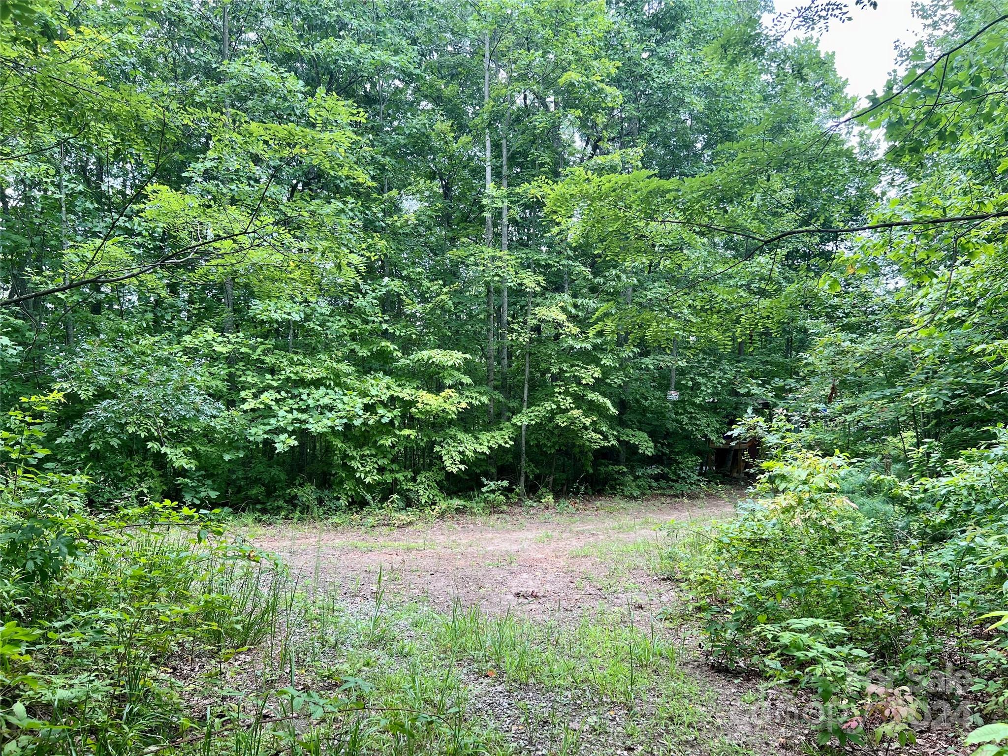 0 Morgan Creek Road Marble, NC 28905 - Photo 16 of 40