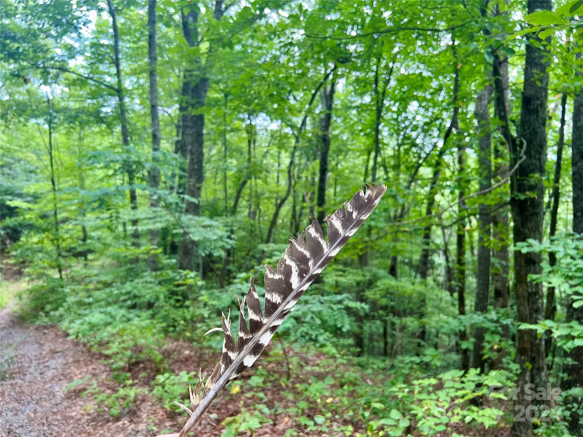 0 Morgan Creek Road Marble, NC 28905 - Photo 18 of 40