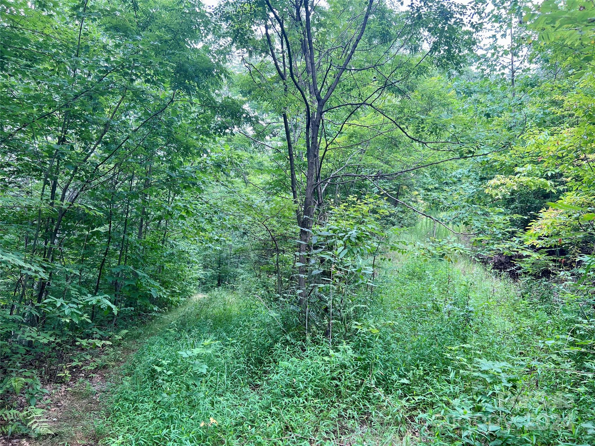 0 Morgan Creek Road Marble, NC 28905 - Photo 20 of 40