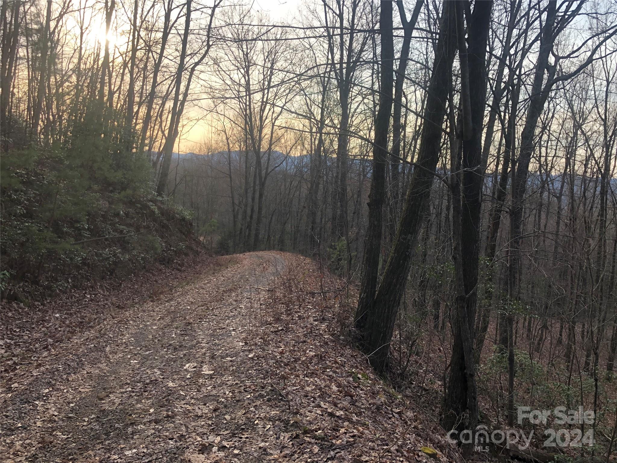 0 Morgan Creek Road Marble, NC 28905 - Photo 2 of 40