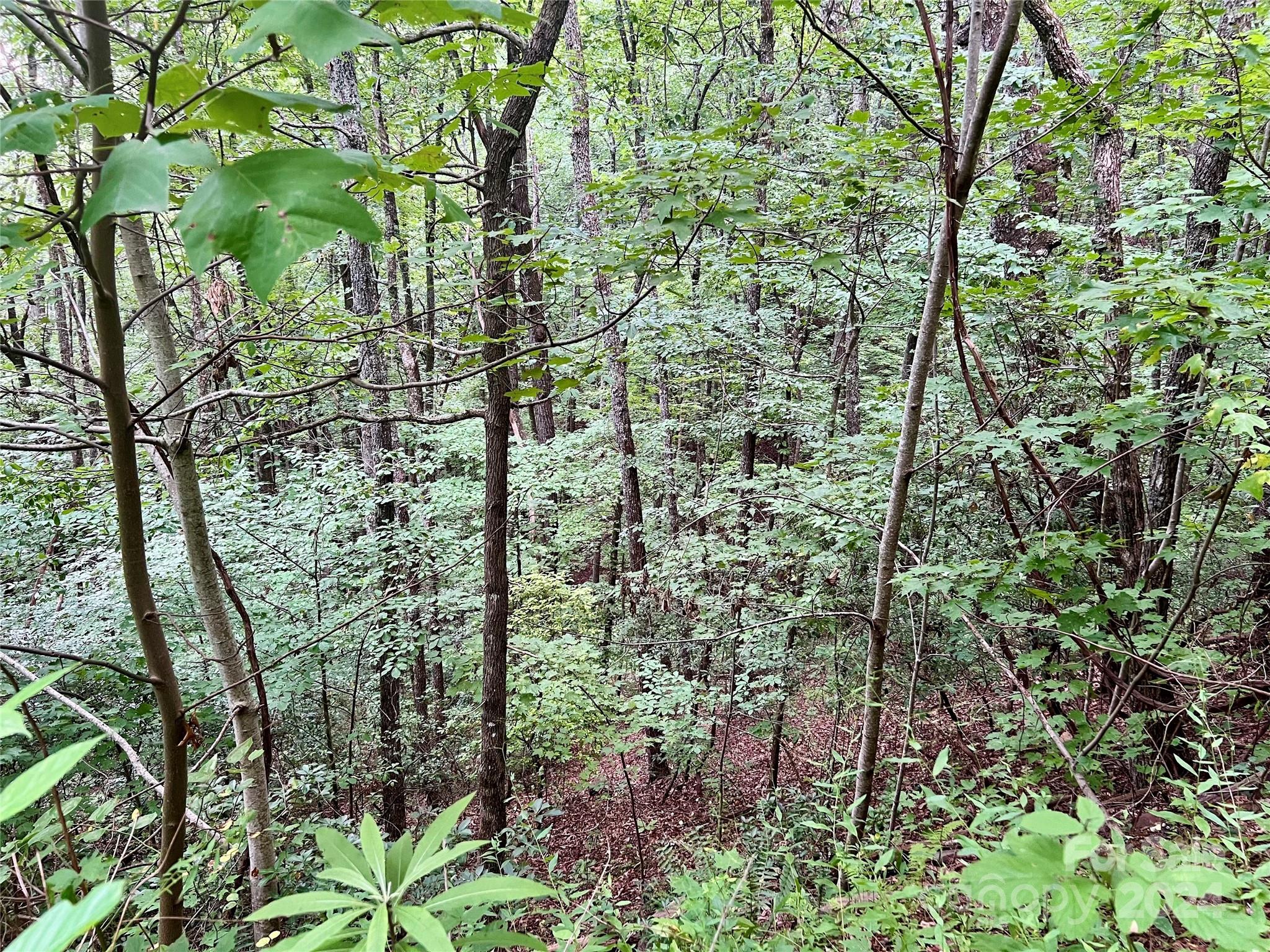 0 Morgan Creek Road Marble, NC 28905 - Photo 22 of 40