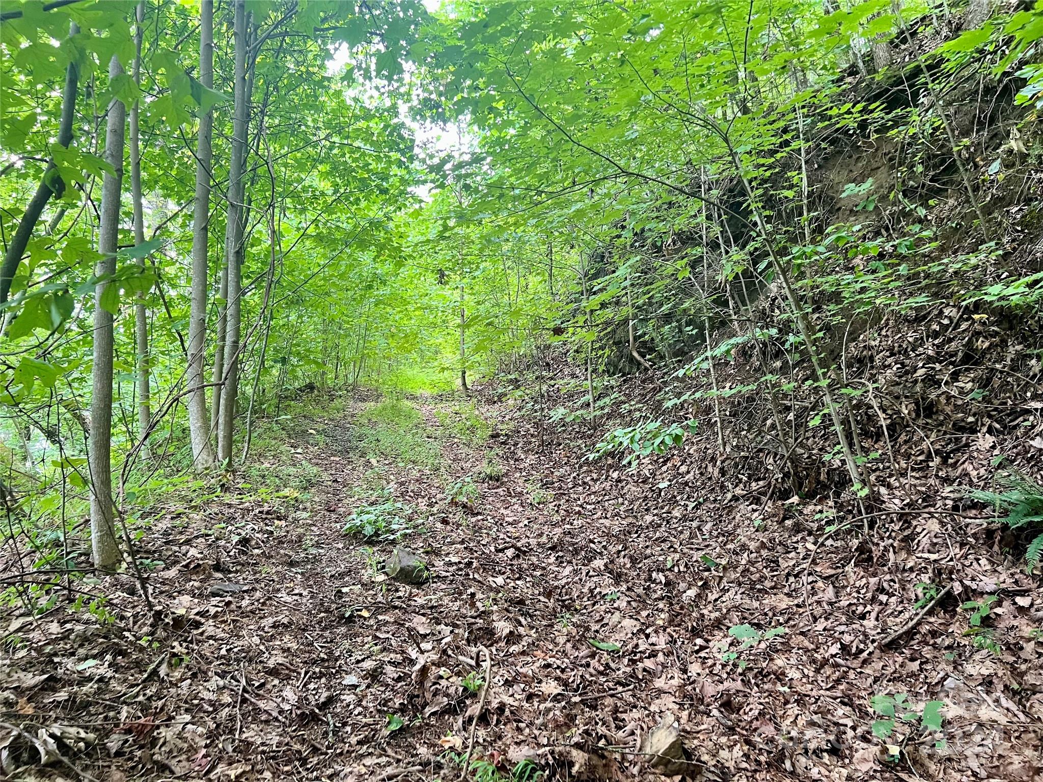 0 Morgan Creek Road Marble, NC 28905 - Photo 25 of 40