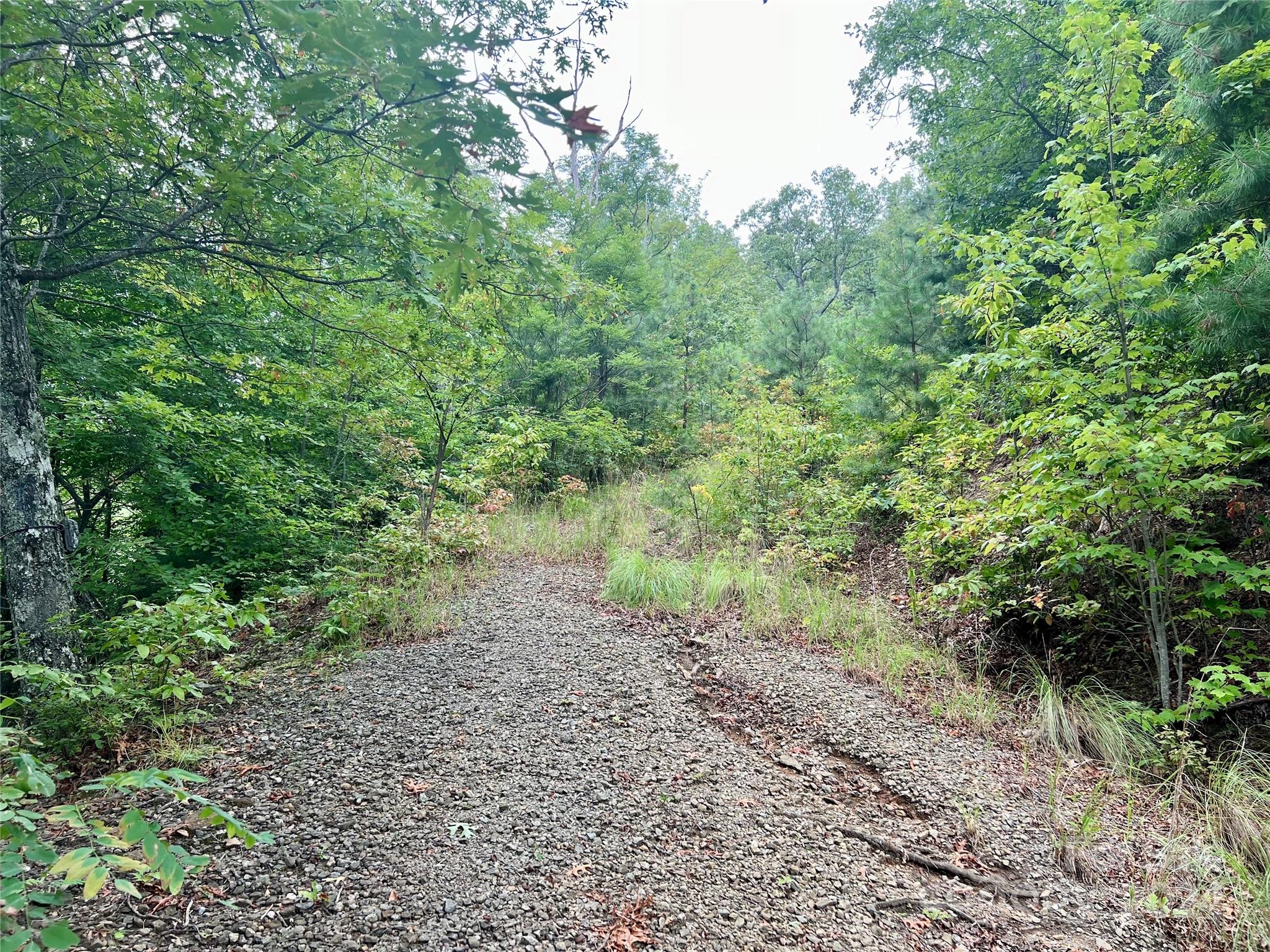 0 Morgan Creek Road Marble, NC 28905 - Photo 26 of 40