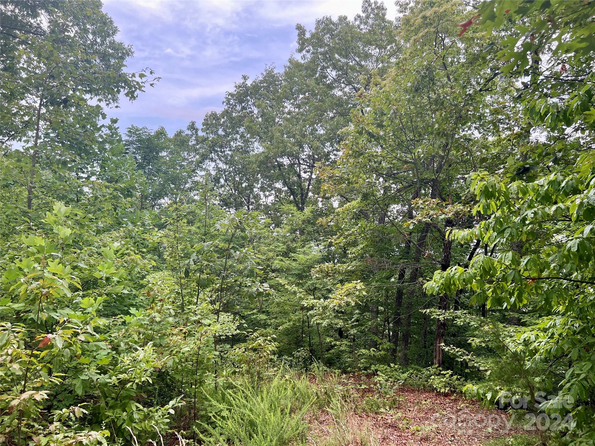 0 Morgan Creek Road Marble, NC 28905 - Photo 27 of 40