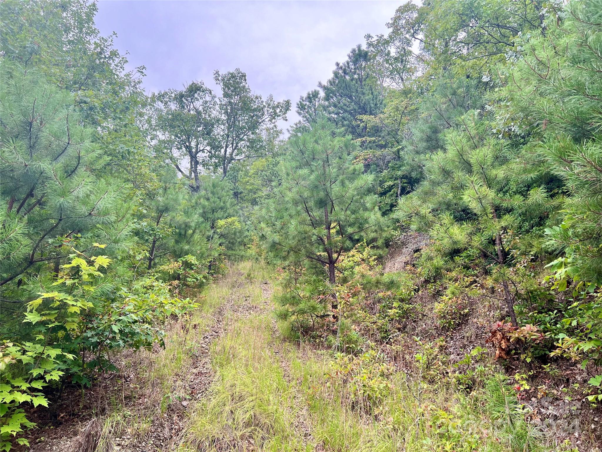 0 Morgan Creek Road Marble, NC 28905 - Photo 28 of 40
