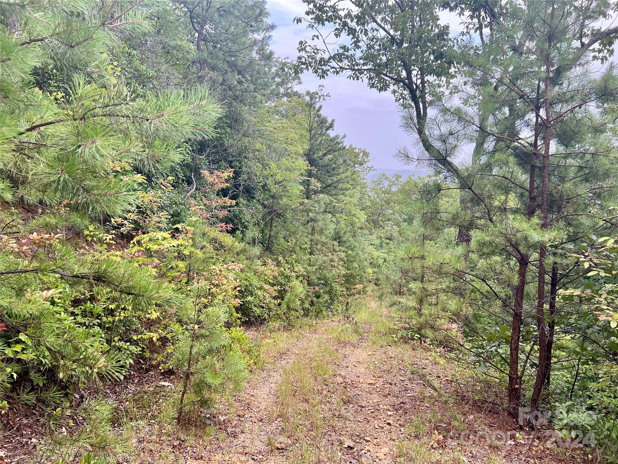 0 Morgan Creek Road Marble, NC 28905 - Photo 29 of 40